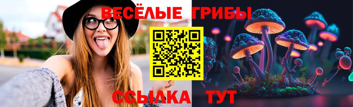 Псилоцибиновые грибы мухоморы Выборг